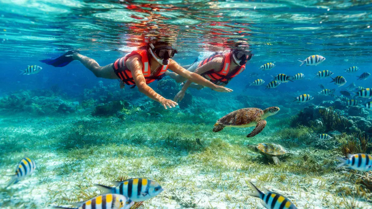 Speedboat anchored at the Puerto Morelos reef with snorkelers in the water on a Cancun snorkeling tour with hotel pickup, Mexico